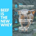 grass-fed-bone-broth-beef-protein-powder-with-collagen-peptides-21g-protein-gut-keto-paleo-friendly-chocolate-flavor-30-servings-03-grass-fed-bone-broth-beef-protein-powder-with-coll-3.jpg