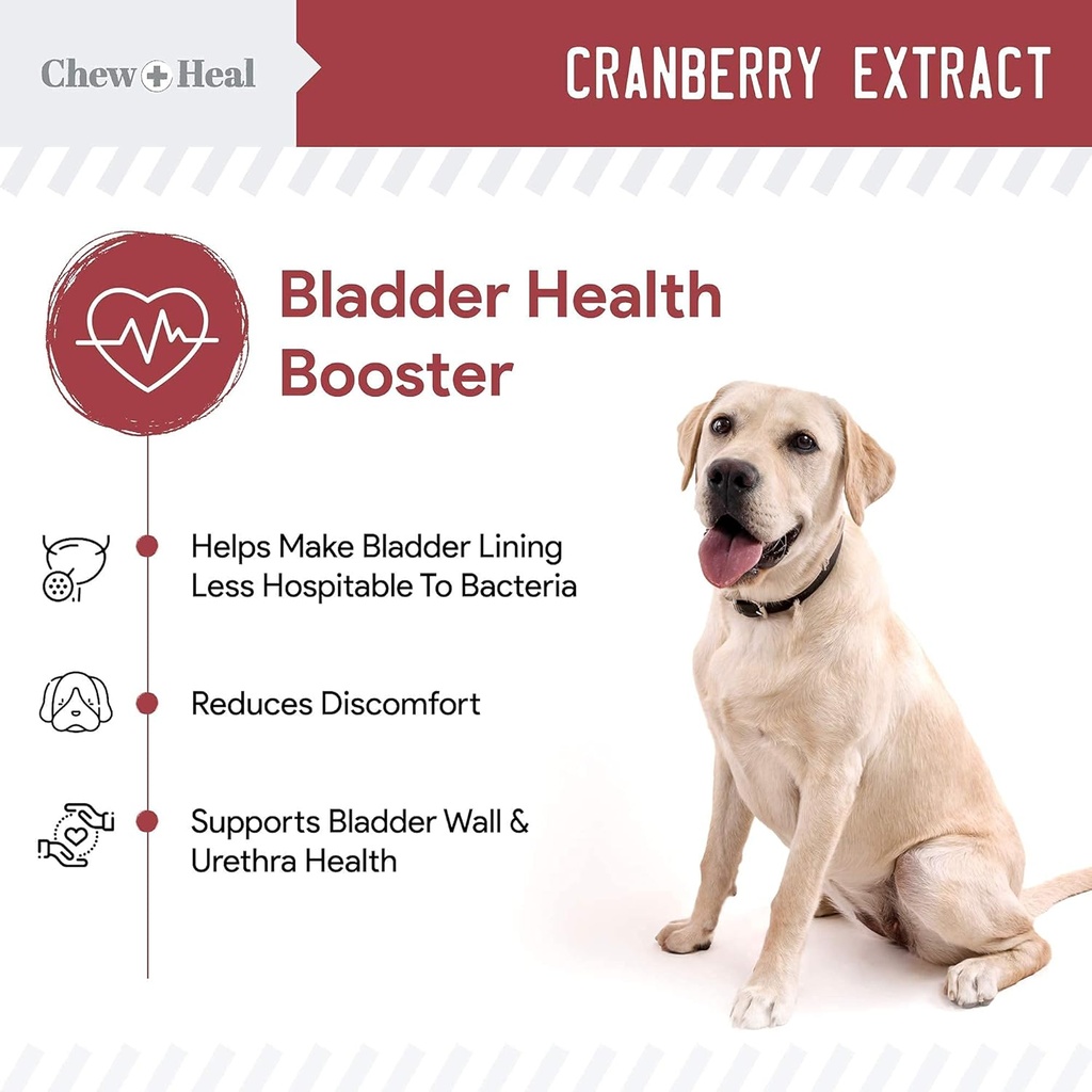 digestive-enzymes-probiotics-and-cranberry-soft-chews-for-dogs-supports-digestion-and-urinary-health-120-chews-02-digestive-enzymes-probiotics-and-cranberry-soft-ch-2.jpg