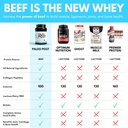 grass-fed-bone-broth-beef-protein-powder-with-collagen-peptides-21g-protein-gut-keto-paleo-friendly-chocolate-flavor-30-servings-06-grass-fed-bone-broth-beef-protein-powder-with-coll-6.jpg