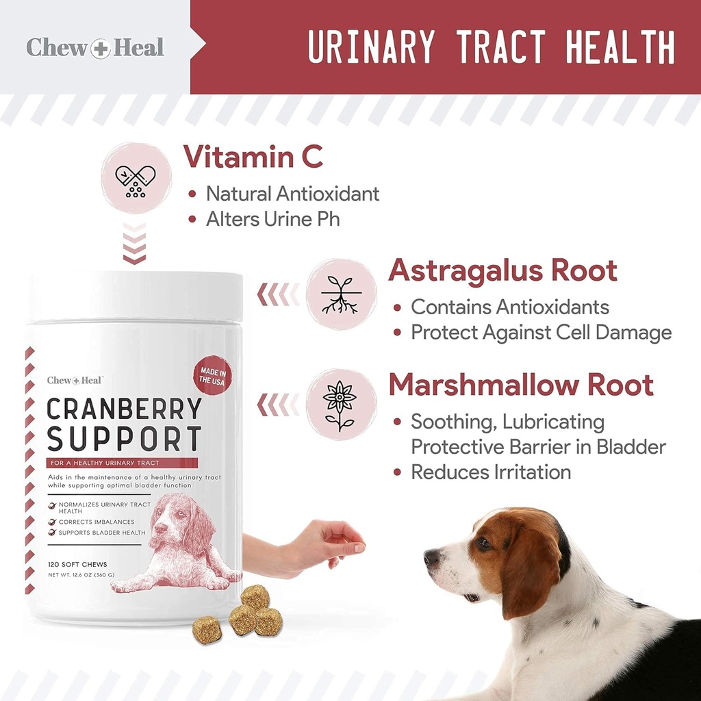 digestive-enzymes-probiotics-and-cranberry-soft-chews-for-dogs-supports-digestion-and-urinary-health-120-chews-03-digestive-enzymes-probiotics-and-cranberry-soft-ch-3.jpg