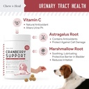 digestive-enzymes-probiotics-and-cranberry-soft-chews-for-dogs-supports-digestion-and-urinary-health-120-chews-03-digestive-enzymes-probiotics-and-cranberry-soft-ch-3.jpg