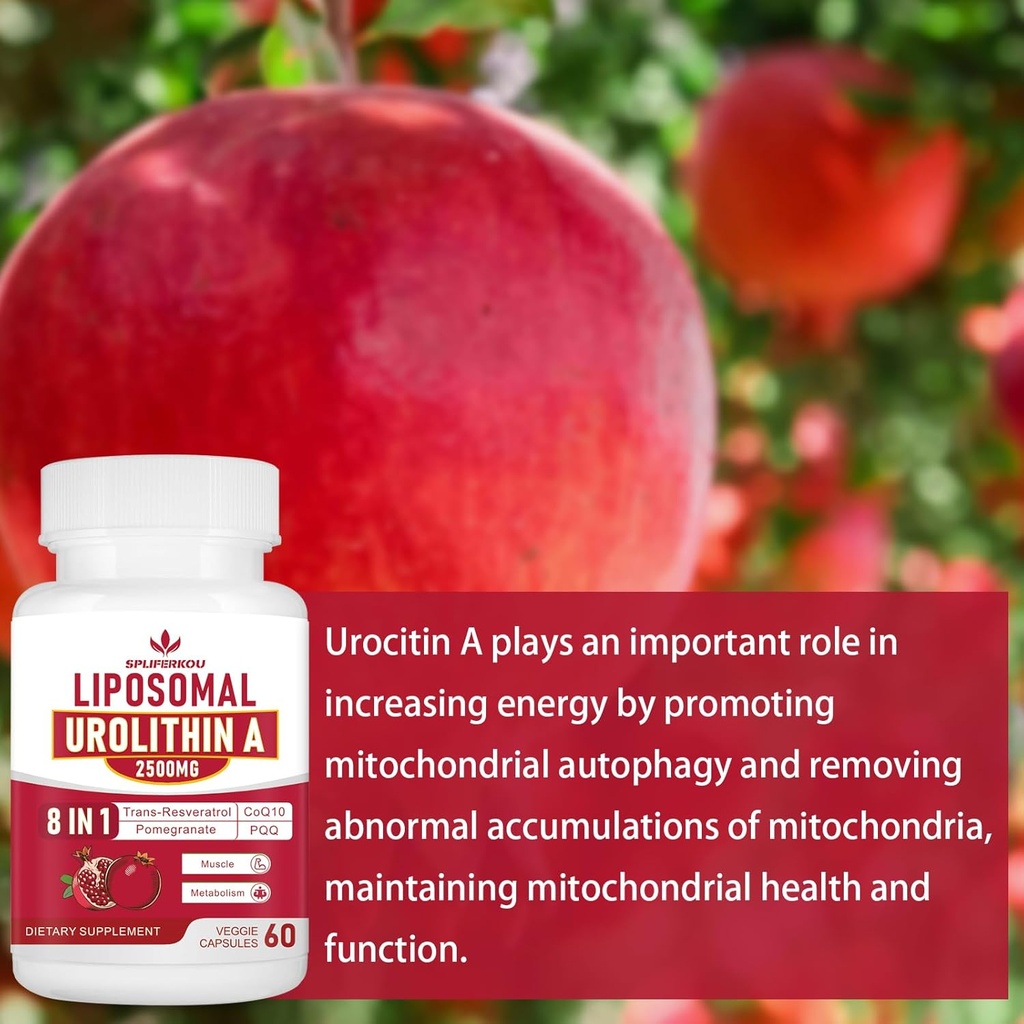 premium-liposomal-urolithin-a-supplement-2500mg-with-resveratrol-coq10-pomegranate-fruit-extract-boost-cellular-energy-gluten-free-180-capsules-04-premium-liposomal-urolithin-a-supplement-2500mg-wi-4.jpg