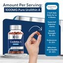 fitura-mitopure-capsules-scientifically-proven-for-muscle-strength-cellular-energy-improve-mitochondrial-health-boost-cellular-function-anti-aging-urolithin-a-supplement-02-fitura-mitopure-capsules---scientifically-proven-f-2.jpg