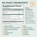 focus-productivity-energy-drink-powder-no-sucralose-no-caffeine-nootropic-adaptogenic-blend-03-focus-productivity-energy-drink-powder---no-sucral-3.jpg