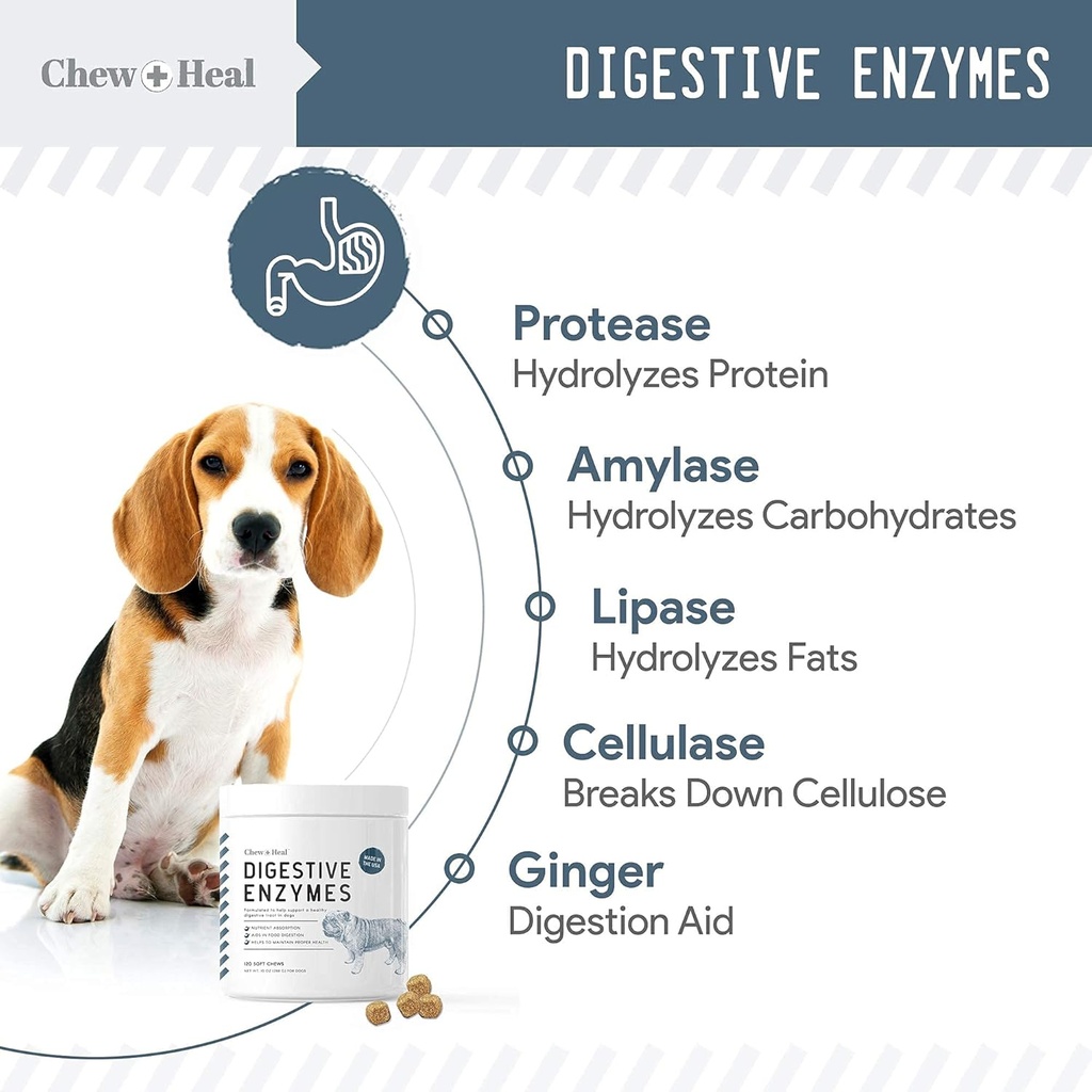 digestive-enzymes-probiotics-and-cranberry-soft-chews-for-dogs-supports-digestion-and-urinary-health-120-chews-06-digestive-enzymes-probiotics-and-cranberry-soft-ch-6.jpg