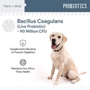 digestive-enzymes-probiotics-and-cranberry-soft-chews-for-dogs-supports-digestion-and-urinary-health-120-chews-07-digestive-enzymes-probiotics-and-cranberry-soft-ch-7.jpg