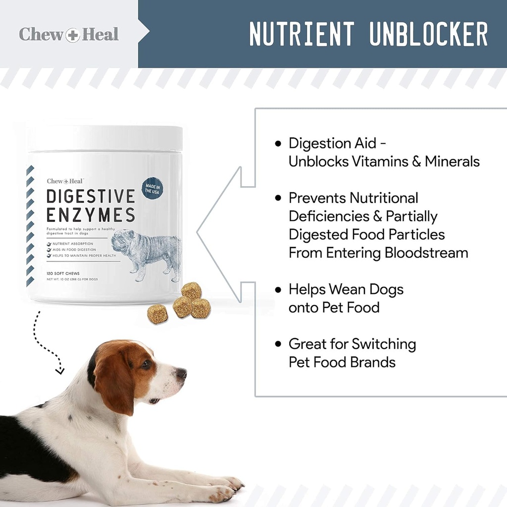 digestive-enzymes-probiotics-and-cranberry-soft-chews-for-dogs-supports-digestion-and-urinary-health-120-chews-08-digestive-enzymes-probiotics-and-cranberry-soft-ch-8.jpg