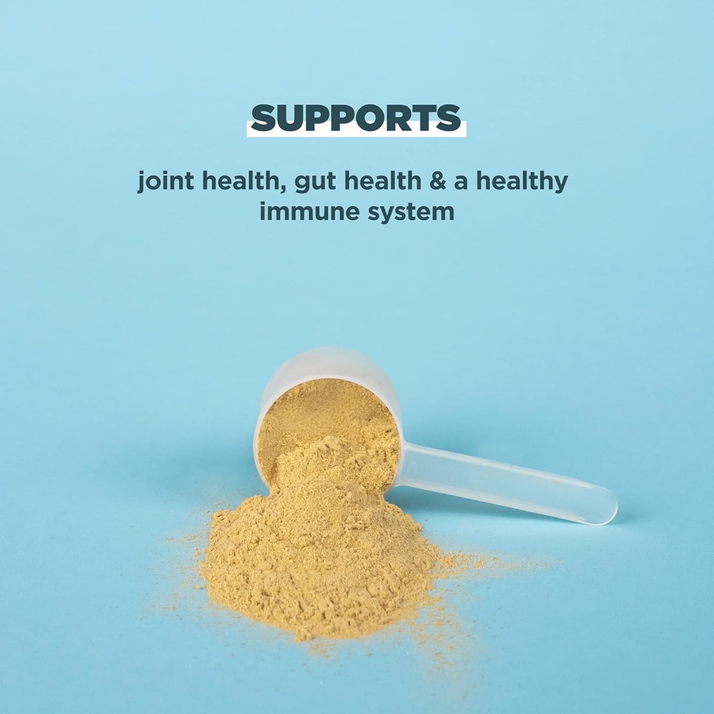 bundle-ancient-nutrition-bone-broth-protein-powder-vanilla-chocolate-20-servings-each-08-bundle-ancient-nutrition-bone-broth-protein-powder-8.jpg