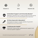 quercetin-with-vitamin-c-zinc-and-bromelain-500mg-120-veggie-caps-elderberry-for-adults-non-gmo-vegan-4-months-supply-07-quercetin-with-vitamin-c-zinc-and-bromelain---500m-7.jpg