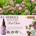 organic-red-clover-liquid-extract-for-menopause-support-1-fl-oz-by-ra-herbals-03-organic-red-clover-liquid-extract-for-menopause-su-3.jpg