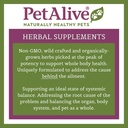 natural-herbal-supplement-for-maintaining-normal-blood-sugar-levels-in-pets-petalive-glucoensure-06-natural-herbal-supplement-for-maintaining-normal-b-6.jpg