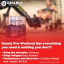 nsf-certified-natural-vegan-pre-workout-powder-strawberry-lemonade-flavor-endurance-recovery-sports-nutrition-supplement-caffeine-free-14-82-oz-04-nsf-certified-natural-vegan-pre-workout-powder-str-4.jpg