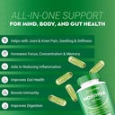 rosabella-moringa-powder-capsules-pure-nutrient-rich-superfood-for-energy-skin-gut-health-with-essential-vitamins-and-amino-acids-pack-of-4-02-rosabella-moringa-powder-capsules---pure-nutrient--2.jpg