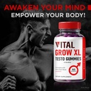 pack-of-5-nutrarize-vital-grow-xl-testo-gummies-for-men-stamina-and-confidence-boost-300-gummies-04-pack-of-5-nutrarize-vital-grow-xl-testo-gummies-fo-4.jpg
