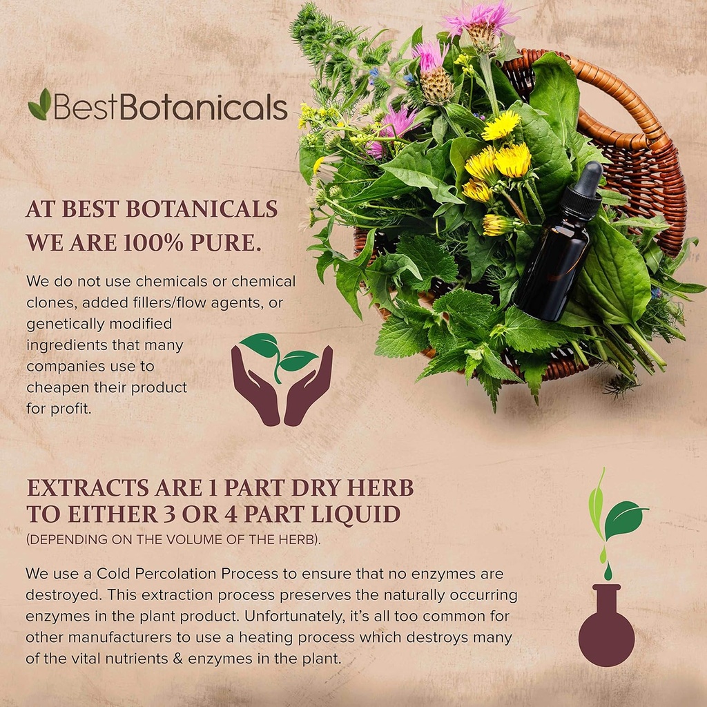 16-oz-best-botanicals-chaparral-leaf-powder-premium-quality-herbal-supplement-05-16-oz-best-botanicals-chaparral-leaf-powder---prem-5.jpg
