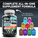 clean-nutra-terramineral-shilajit-gummies-with-sea-moss-tongkat-ali-ashwagandha-lions-mane-maca-ginseng-rhodiola-cordyceps-02-clean-nutra-terramineral-shilajit-gummies-with-sea-2.jpg