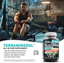 clean-nutra-terramineral-shilajit-gummies-with-sea-moss-tongkat-ali-ashwagandha-lions-mane-maca-ginseng-rhodiola-cordyceps-03-clean-nutra-terramineral-shilajit-gummies-with-sea-3.jpg