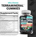 clean-nutra-terramineral-shilajit-gummies-with-sea-moss-tongkat-ali-ashwagandha-lions-mane-maca-ginseng-rhodiola-cordyceps-04-clean-nutra-terramineral-shilajit-gummies-with-sea-4.jpg