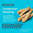 neurogum-memory-focus-gum-90-pieces-decaf-sugar-free-with-american-ginseng-l-theanine-vitamin-b12-b6-for-mental-alertness-brain-supplements-for-memory-and-focus-peppermint-flavor-05-neurogum-memory-focus-gum-90-pieces---decaf-sugar--5.jpg