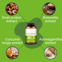 vitasei-snail-complex-joint-supplement-with-glucosamine-msm-collagen-vegan-non-gmo-gluten-dairy-free-180-capsules-04-vitasei-snail-complex-joint-supplement-with-glucos-4.jpg