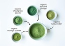 organic-supergreens-powder-blend-mixed-kale-moringa-spirulina-wheatgrass-8oz-non-gmo-vegan-rich-in-antioxidants-chlorophyll-bulk-size-06-organic-supergreens-powder-blend---mixed-kale-mori-6.jpg