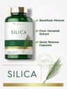 horsetail-extract-silica-supplement-capsules-200-count-non-gmo-gluten-free-by-carlyle-03-horsetail-extract-silica-supplement-capsules-200-c-3.jpg