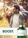horsetail-extract-silica-supplement-capsules-200-count-non-gmo-gluten-free-by-carlyle-06-horsetail-extract-silica-supplement-capsules-200-c-6.jpg