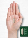 horsetail-extract-silica-supplement-capsules-200-count-non-gmo-gluten-free-by-carlyle-07-horsetail-extract-silica-supplement-capsules-200-c-7.jpg