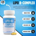 120-tablets-of-es-global-brands-lipotropic-b-complex-for-natural-clean-energy-and-wellness-by-legere-pharmaceuticals-06-120-tablets-of-es-global-brands-lipotropic-b-compl-6.jpg