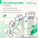 clearformulas-nicotinamide-500mg-180-capsules-vegetarian-vitamin-b3-supplement-05-clearformulas-nicotinamide-500mg---180-capsules----5.jpg