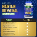 legend-nutra-4-in-1-digestive-supplement-60-count-probiotics-prebiotics-postbiotics-enzymes-06-legend-nutra-4-in-1-digestive-supplement-60-count--6.jpg