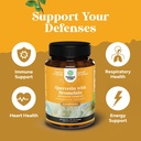 zinc-and-quercetin-bundle-for-immune-support-and-joint-health-enhances-skin-nail-brain-and-lung-function-boosts-immunity-and-focus-04-zinc-and-quercetin-bundle-for-immune-support-and-j-4.jpg