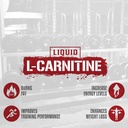 premium-4-source-blend-liquid-l-carnitine-by-5-nutrition-rich-piana-boost-energy-and-metabolism-with-gbb-watermelon-candy-flavor-03-premium-4-source-blend-liquid-l-carnitine-by-5-nut-3.jpg