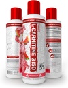 premium-4-source-blend-liquid-l-carnitine-by-5-nutrition-rich-piana-boost-energy-and-metabolism-with-gbb-watermelon-candy-flavor-04-premium-4-source-blend-liquid-l-carnitine-by-5-nut-4.jpg