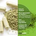 joint-support-bundle-glucosamine-chondroitin-turmeric-calcium-magnesium-collagen-240-capsules-each-promotes-healthy-joints-07-joint-support-bundle-glucosamine-chondroitin-turme-7.jpg