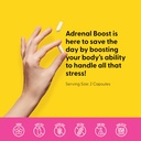 adrenal-boost-supplement-for-immune-support-stress-relief-memory-and-focus-120-vegetarian-capsules-with-ashwagandha-maca-rhodiola-ginseng-for-restful-sleep-05-adrenal-boost-supplement-for-immune-support-stress-5.jpg