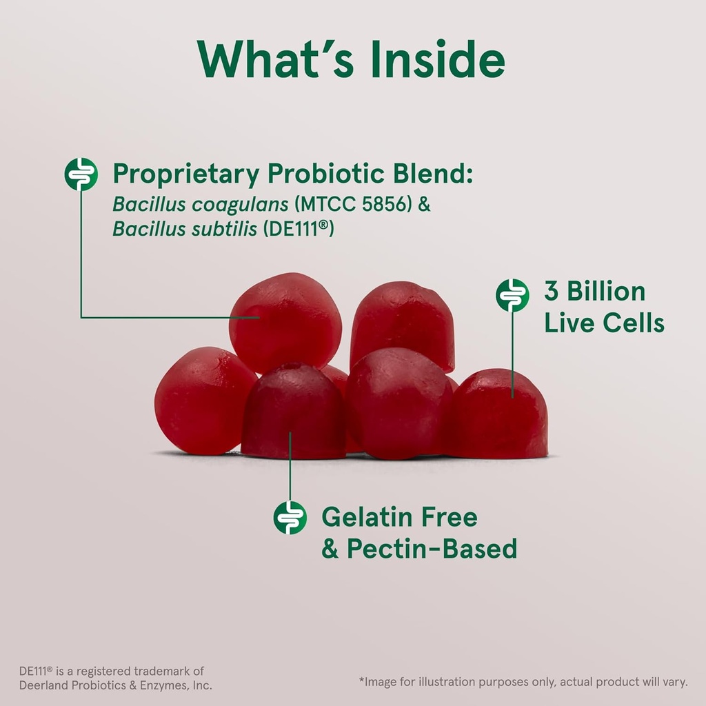 immune-health-digestive-support-probiotic-gummies-60-count-3-billion-live-cells-raspberry-flavor-jarrow-formulas®-03-immune-health-digestive-support-probiotic-gummies--3.jpg