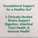 immune-health-digestive-support-probiotic-gummies-60-count-3-billion-live-cells-raspberry-flavor-jarrow-formulas®-04-immune-health-digestive-support-probiotic-gummies--4.jpg