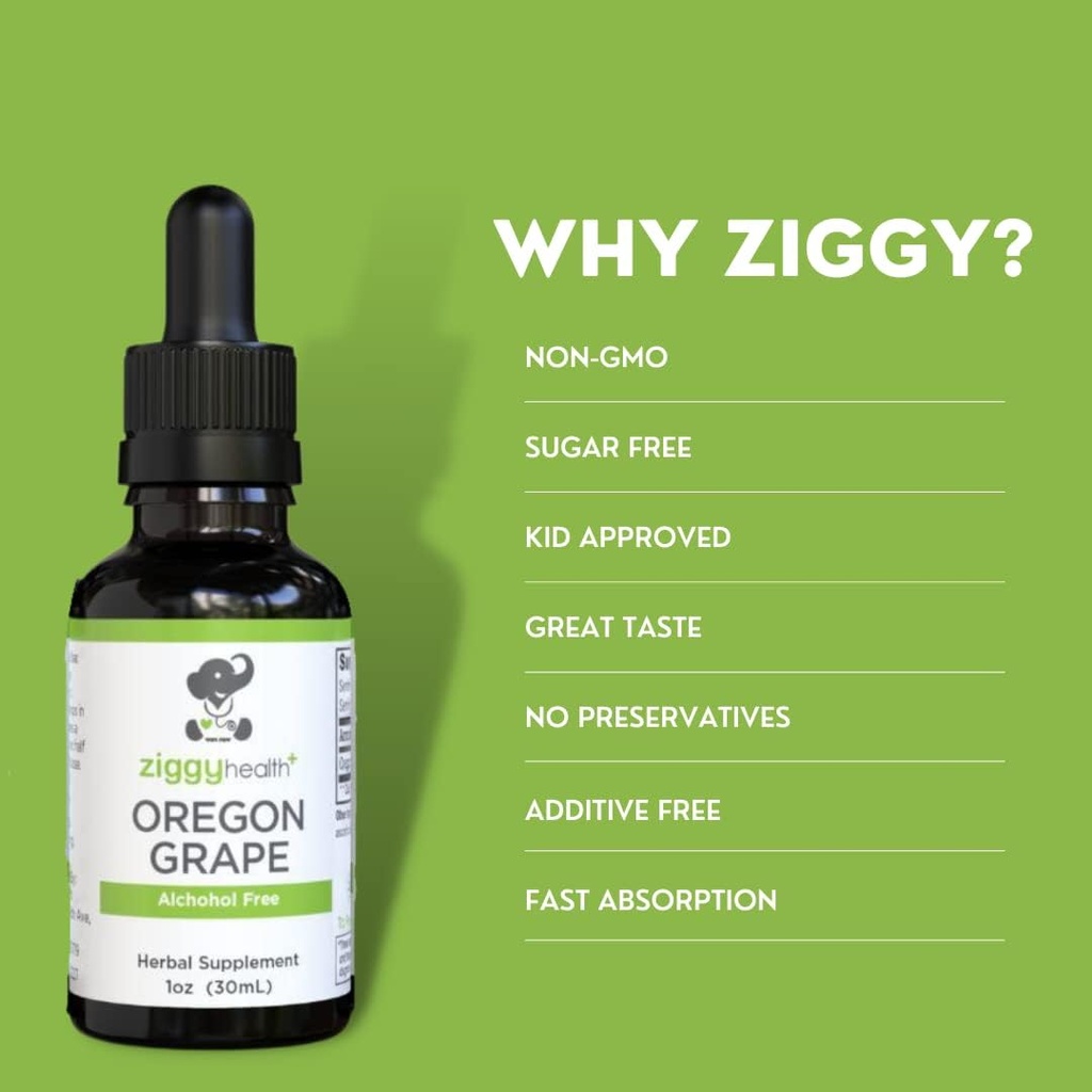 organic-oregon-grape-root-herbal-tincture-alcohol-free-extract-for-immune-support-1oz-by-ziggy-baby-health-02-organic-oregon-grape-root-herbal-tincture---alcoho-2.jpg