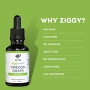 organic-oregon-grape-root-herbal-tincture-alcohol-free-extract-for-immune-support-1oz-by-ziggy-baby-health-02-organic-oregon-grape-root-herbal-tincture---alcoho-2.jpg