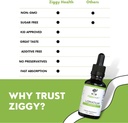 ziggy-health-organic-lomatium-root-extract-drops-alcohol-free-liquid-tincture-for-immune-lung-support-gluten-free-herbal-supplement-1oz-06-ziggy-health-organic-lomatium-root-extract-drops---6.jpg