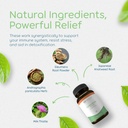 270-capsules-of-non-gmo-immune-support-supplement-with-japanese-knotweed-root-cats-claw-milk-thistle-and-resveratrol-vegetarian-formula-for-healthy-foundation-04-270-capsules-of-non-gmo-immune-support-supplement--4.jpg