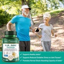 jointgel-bundle-berry-flavor-ha-joint-formula-with-collagen-peptides-msm-and-hyaluronic-acid-for-joint-health-and-flexibility-07-jointgel-bundle-berry-flavor-ha-joint-formula-with-7.jpg