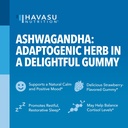 havasu-nutrition-ashwagandha-gummies-supplement-designed-to-support-a-natural-calm-herbal-support-ashwagandha-gummies-for-women-and-men-non-gmo-and-gluten-free-supplement-120-vegan-strawberry-gummies-03-havasu-nutrition-ashwagandha-gummies-supplement-de-3.jpg