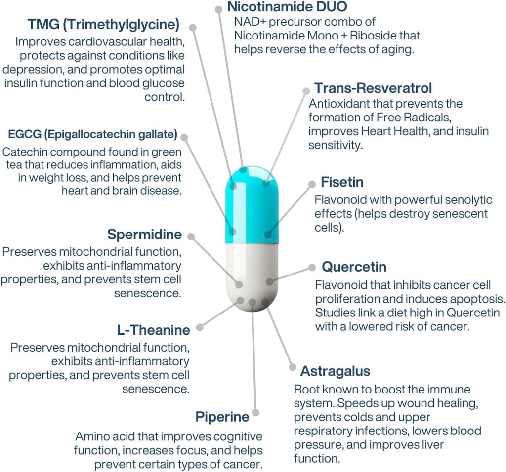 perpetua-life-anti-aging-supplement-nad-complex-aeon-with-nicotinamide-duo™-fisetin-quercetin-resveratrol-tmg-spermidine-astragalus-l-theanine-and-more-04-perpetualife-anti-aging-supplement-nad-complex-aeo-4.jpg