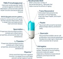 perpetua-life-anti-aging-supplement-nad-complex-aeon-with-nicotinamide-duo™-fisetin-quercetin-resveratrol-tmg-spermidine-astragalus-l-theanine-and-more-04-perpetualife-anti-aging-supplement-nad-complex-aeo-4.jpg