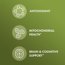 dr-mercola-organic-ginkgo-biloba-with-coffee-fruit-extract-dietary-supplement-30-servings-per-container-30-capsules-supports-mitochondrial-health-as-well-as-brain-and-cognitive-function-04-dr-mercola-organic-ginkgo-biloba-with-coffee-fruit-4.jpg