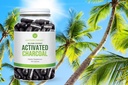 180-capsules-of-antler-farms-100-pure-coconut-activated-charcoal-wild-harvested-virgin-coconut-shell-usp-food-grade-steam-activated-ultra-fine-260mg-03-180-capsules-of-antler-farms-100-pure-coconut-acti-3.jpg