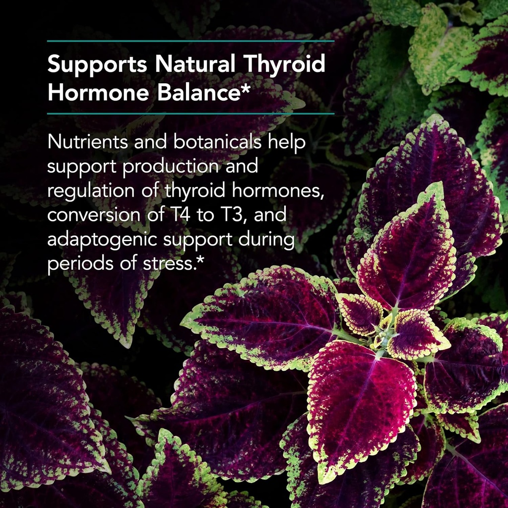 nutricology-thyroid-nutrition-with-iodoral-60-count-thyroid-support-supplement-for-men-women-iodine-complex-for-thyroid-health-04-nutricology-thyroid-nutrition-with-iodoral---60-co-4.jpg
