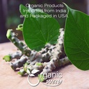 premium-organic-guduchi-powder-raw-vegan-non-gmo-gluten-free-usda-certified-from-india-1lb-16oz-03-premium-organic-guduchi-powder---raw-vegan-non-gmo-3.jpg